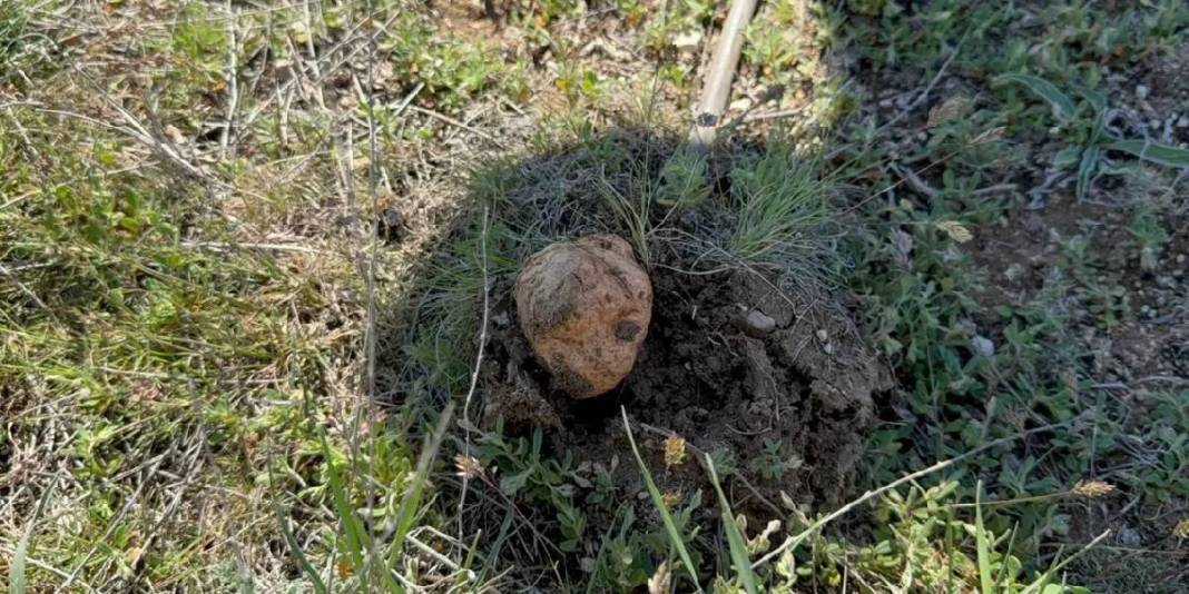 Tek tek arıyorlar, bulan havaya uçuyor! ‘Altın bulsam bu kadar sevinmem’ 3